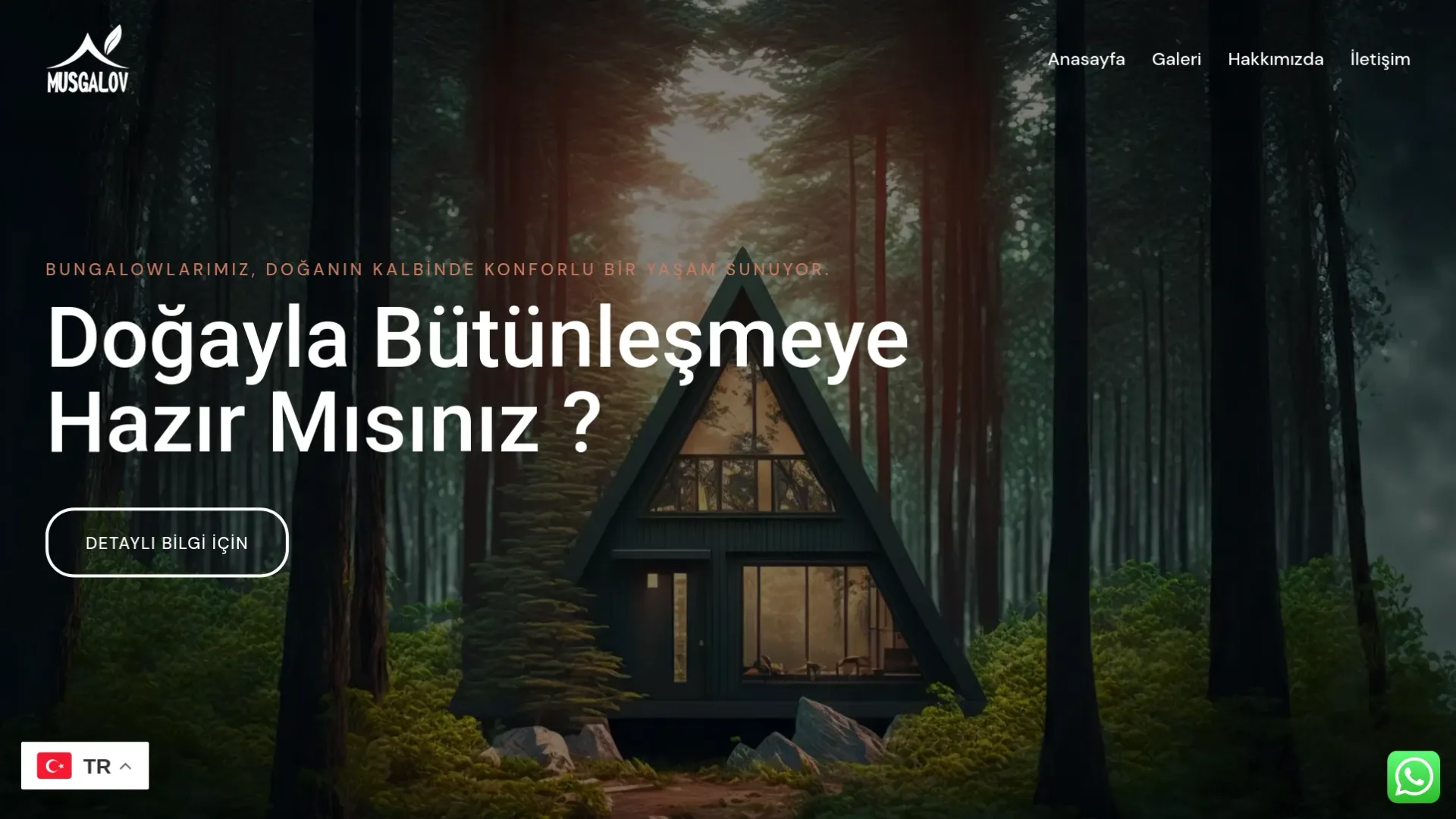 Musgalov Bungalov web sitesi referansı